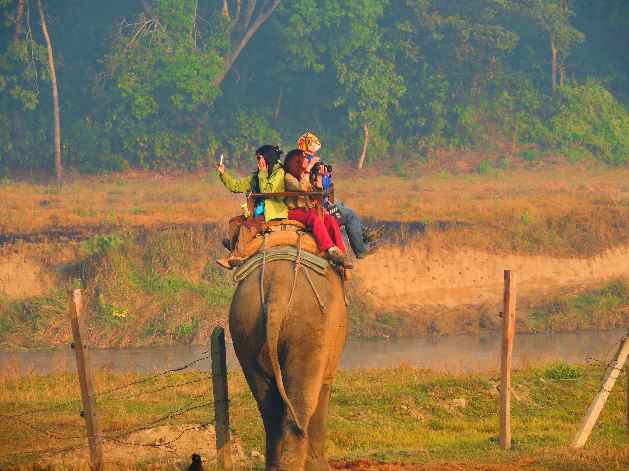 Beautiful small town “Sauraha”​