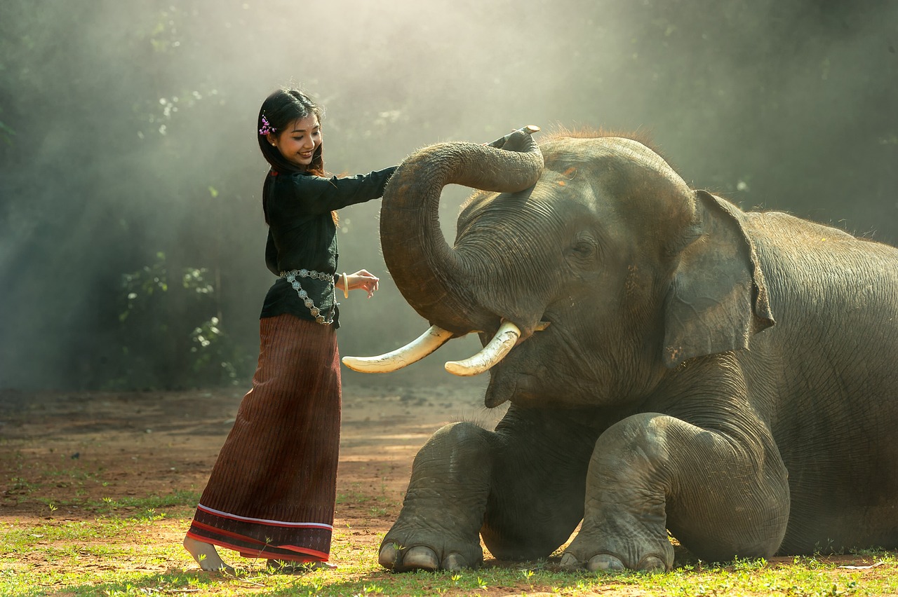 Elephant Excursion in Nepal